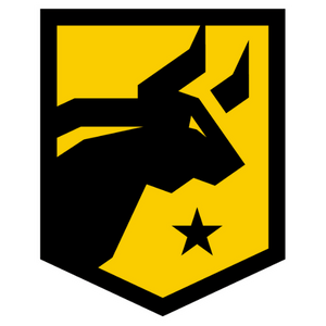 Combat CSP logo